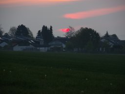 Frühling am Buchwald